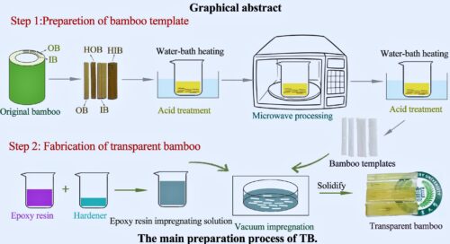 Graphical Abstract Of Bamboo